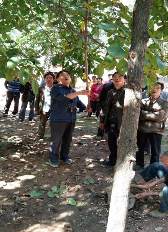 1505206397234330.jpg 图片2.jpg