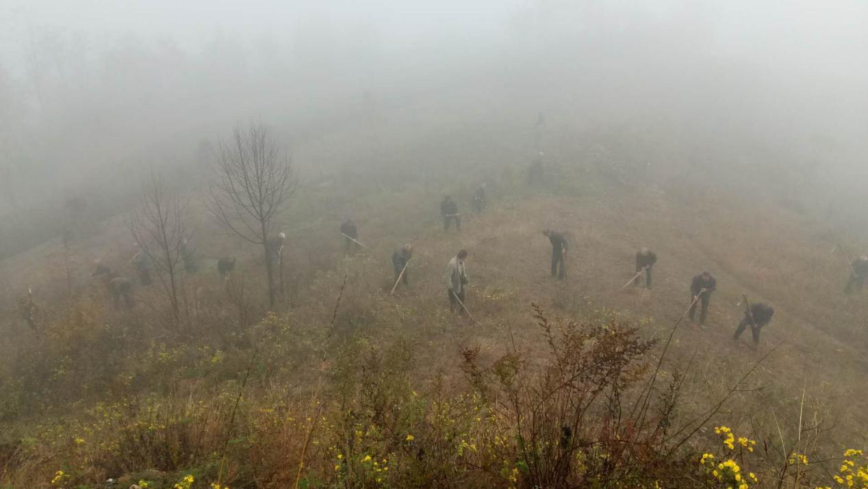 1509790193339073.jpg 图片1.jpg