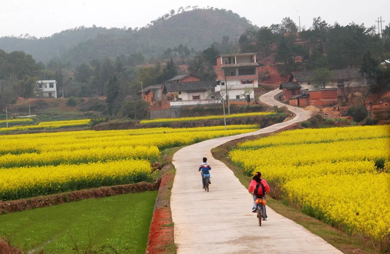 1510561801633441.jpg 7.jpg