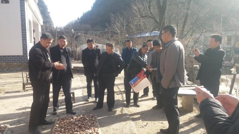 1512980020563845.jpg 3.jpg