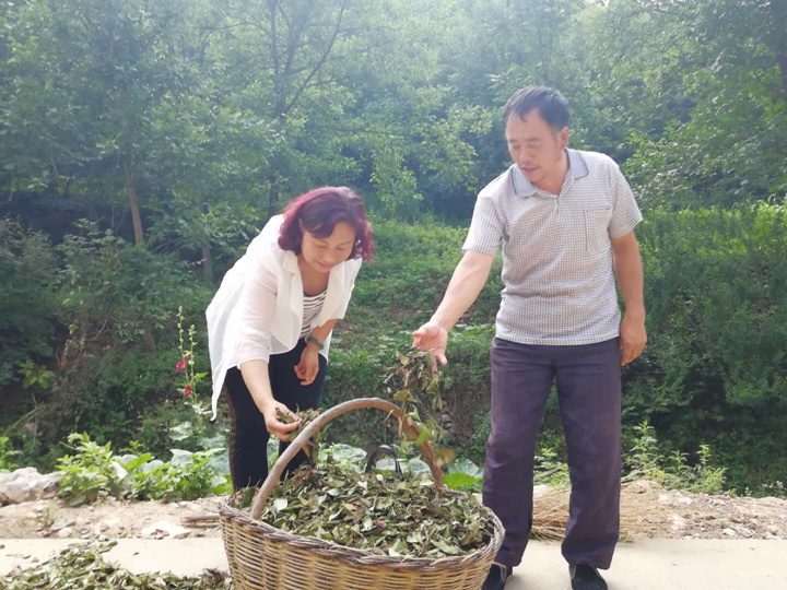 1530957102216883.jpg 4.jpg