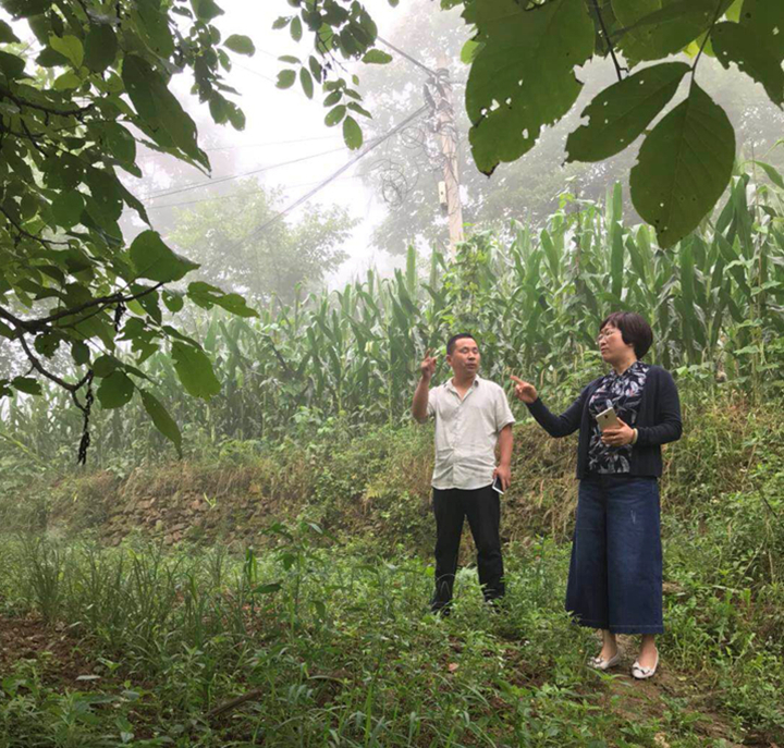 1530957255409257.jpg 2.jpg