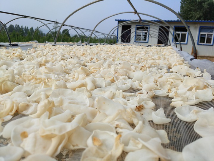 1533029558153325.jpg 3副本.jpg