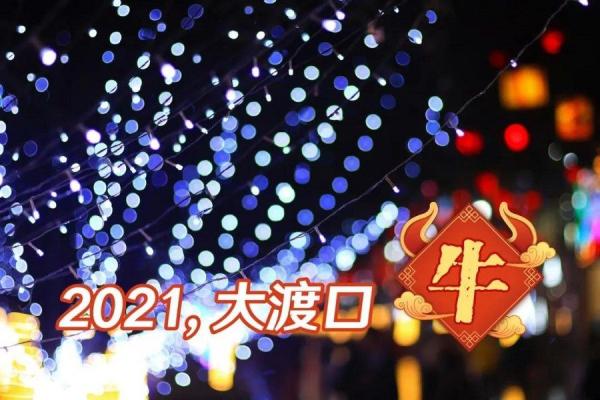 有灯就是年，有你是团圆！在大渡口感受璀璨新年