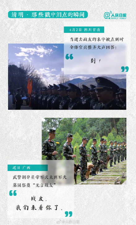 感动！这是今年清明戳中泪点的18个细节